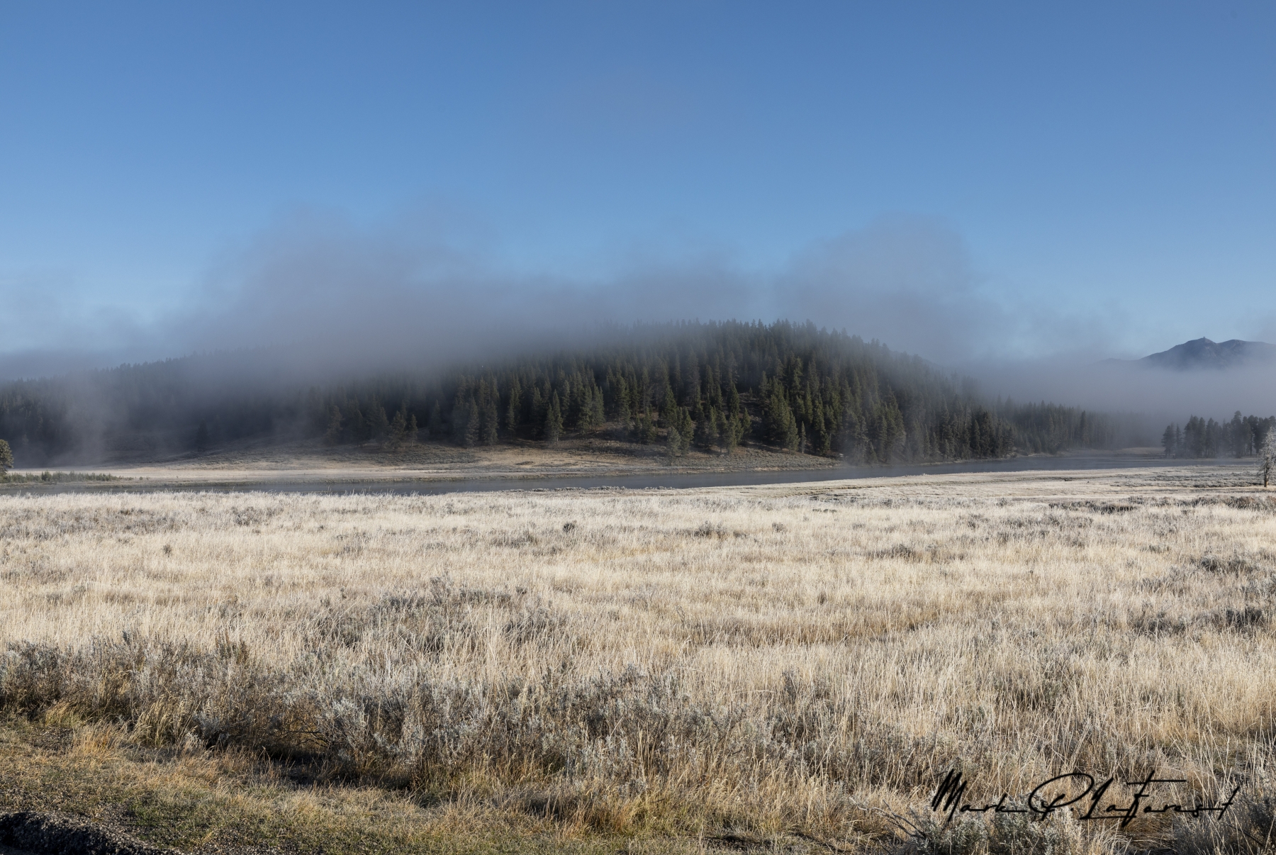 /gallery/north_america/USA/Wyoming/yellowstone/Morning Fog Yellowstone River 2024-001_med.jpg